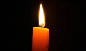 В Одесі рідкісна змія покусала директора зоопарку: як на вулиці ловили велетня (фото)