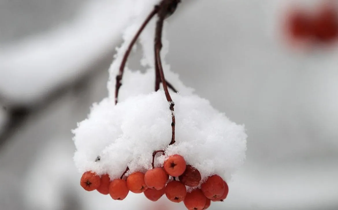 Погода в Україні на 1-2 січня: мороз, невеликий сніг і ожеледиця