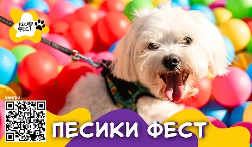 Найбільший фестиваль для собак в Україні Песики Фест масштабується