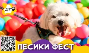 Порожні казначейські рахунки не є привід для паніки – Мінфін