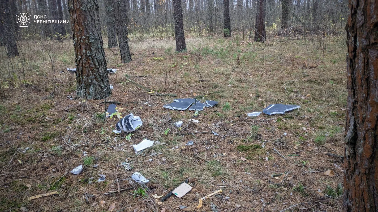 На Чернігівщині здетонував російський дрон, постраждали підлітки