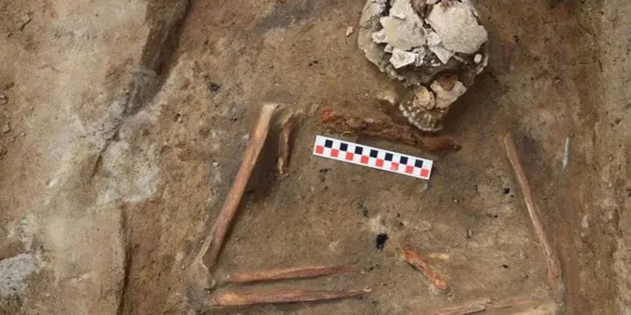 Таємниче поховання з цвяхом у грудях знайшли в Польщі