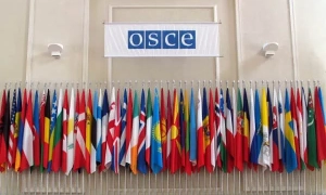 У Франції навала медуз спричинила зниження виробництва електроенергії на АЕС