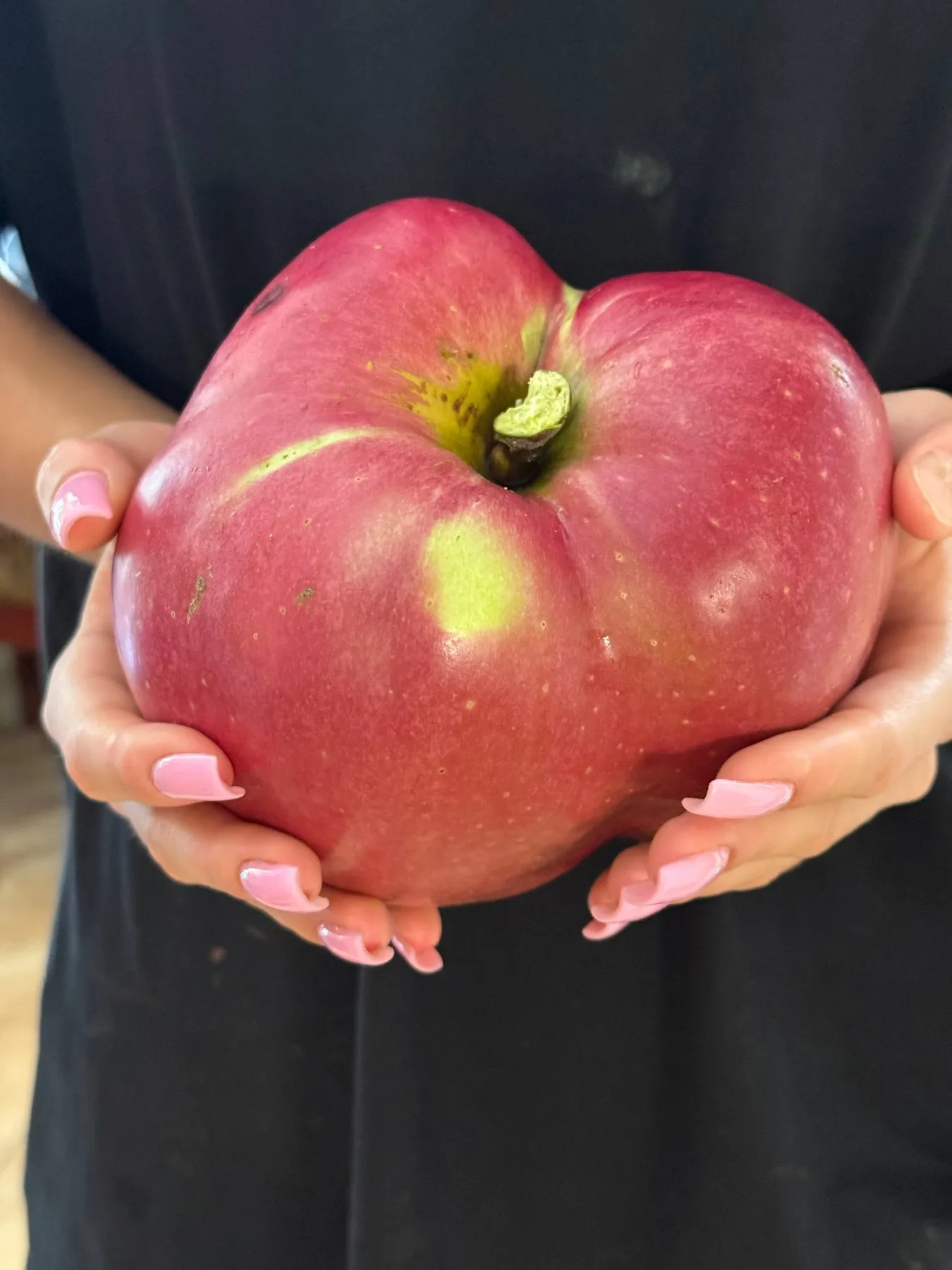 Киянин встановив рекорд України, виростивши яблуко вагою у понад кілограм – фото