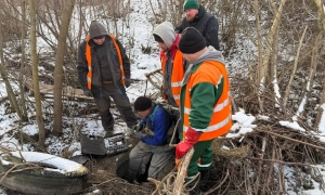 Wizz Air анонсував збільшення кількості українських рейсів