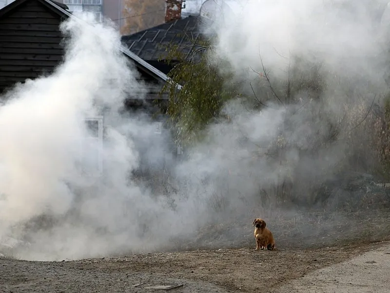 У Туапсе мешканцям радять не виходити через пожежу на нафтотерміналі