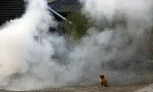 Загарбники обстріляли Куп'янський район на Харківщині