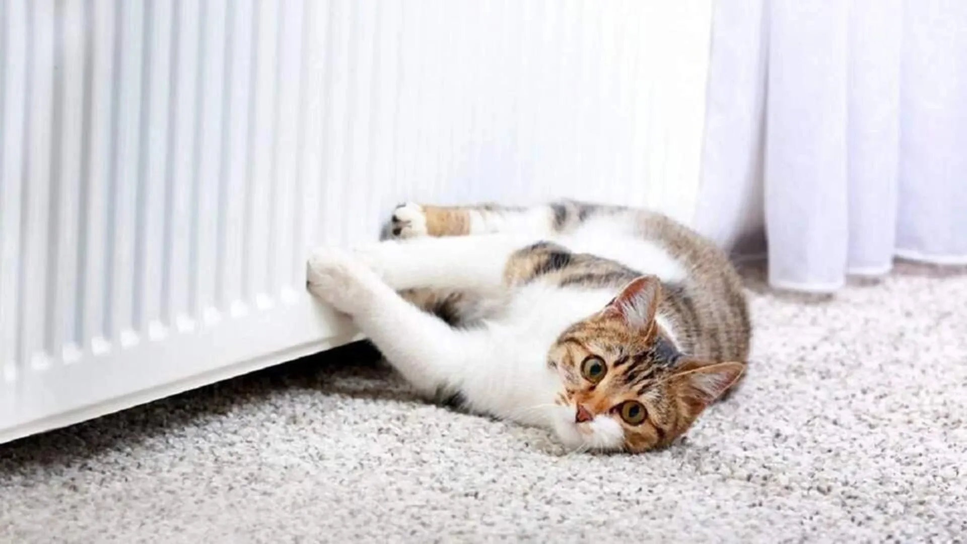 Газу, електрики та вугілля вистачило, Шмигаль підбив підсумки зими