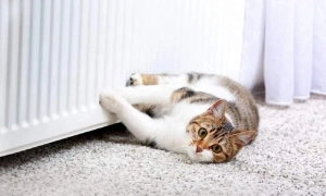 Очне навчання з 1 вересня розпочнуть лише школи з укриттями