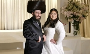 Відео: у Великій Британії пропалестинські активісти випустили десятки мишей в McDonald’s