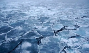 Україна вимагає не обговорювати «гарантії безпеки» без відведення військ РФ