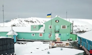 Науковці використовують штучний інтелект, щоб зробити пиво смачнішим