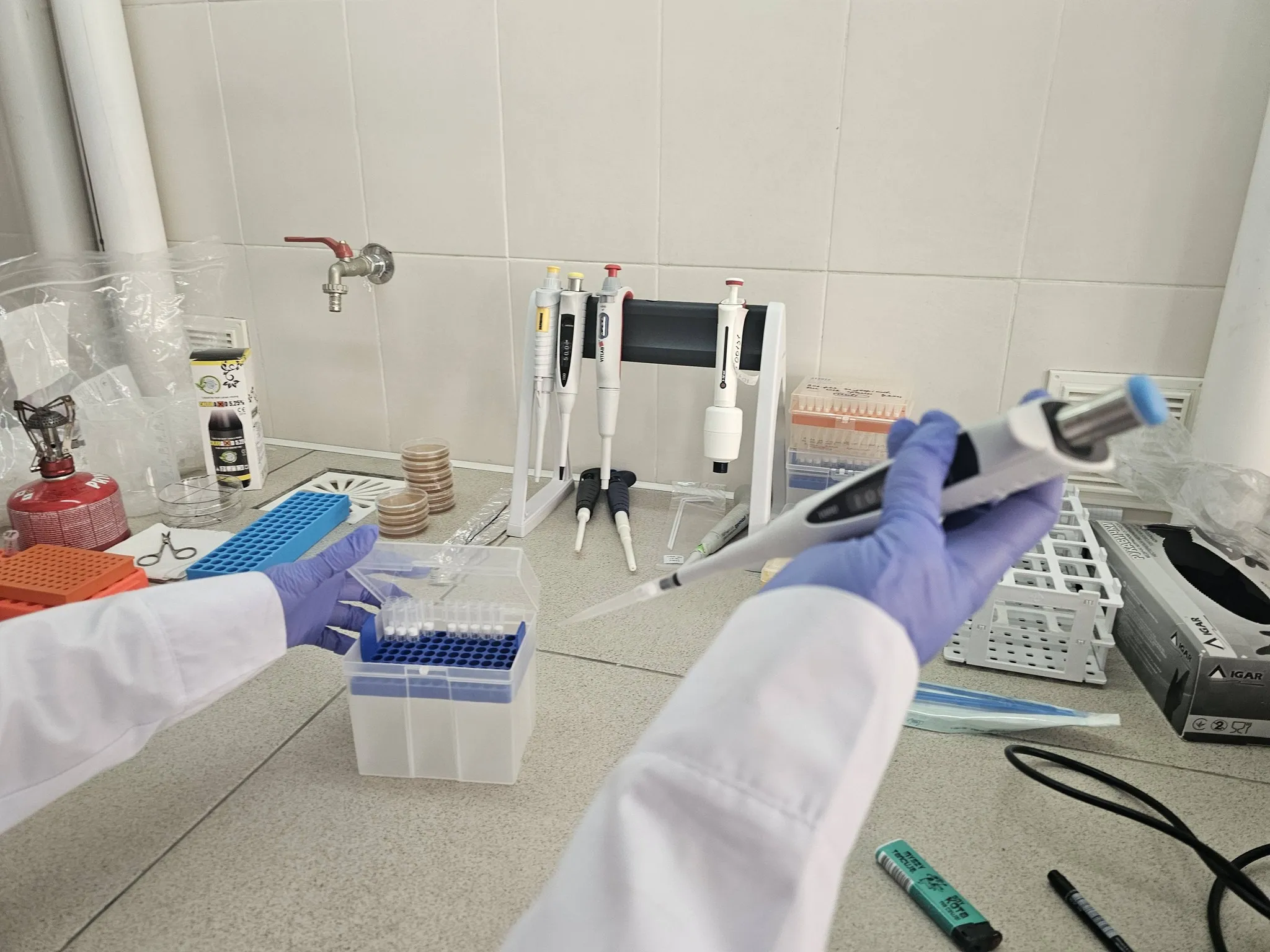 Україна відкрила власну лабораторію для антарктичних зразків