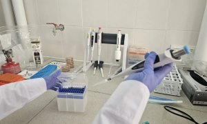 Відео: наслідки артобстрілів РФ у Чернігові