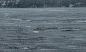 Резніков оцінив ймовірність вторгнення РФ в Україну: подробиці