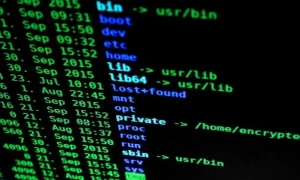 RapidRanger на фронті, нові можливості ППО