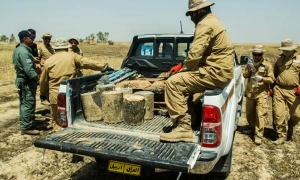 У ФБР пояснили, з якою метою Китай вивчає війну в Україні