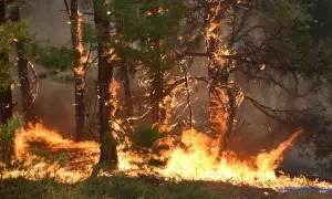 Німеччина і Швеція тернисто домовляються про системи ППО для України – ЗМІ
