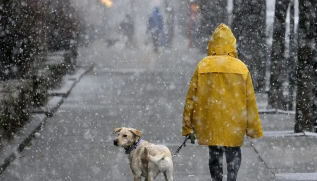 В Україні очікуються дощі та мокрий сніг: прогноз погоди на 10 грудня