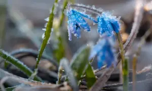 Укренерго повідомило, чи вимикатимуть світло 24 квітня