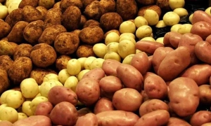 СБУ розповіла подробиці справи про зрив пакистанського танкового контракту