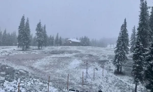 Відео: В Україні 18 жовтня пішов перший сніг