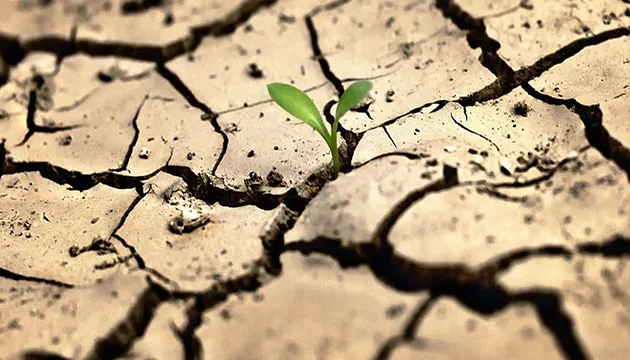 Англії загрожує найгірша посуха за десятиліття, — The Guardian