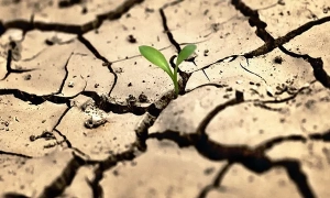 Прем’єр Іспанії виступив проти збільшення витрат на оборону до 5% ВВП