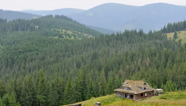 A record-breaking heat wave was recorded on one of the Carpathian peaks