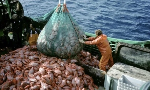 НАТО і ЄС повинні збільшити витрати на оборону – Шольц 