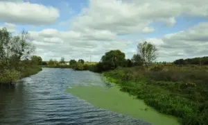 У Києві мати школяра оштрафували за булінг