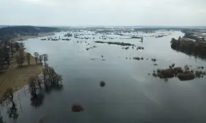 Чиновників Мінфіну підозрюють в причетності до розкрадань Януковича