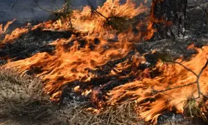 Эксперт рассказал о смертельной схватке силовых кланов в России