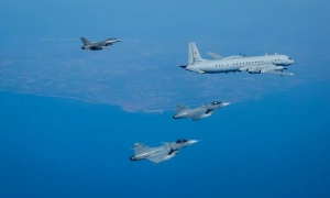 Британську урядову ялинку прикрасили тернопільською жар-птицею – фото