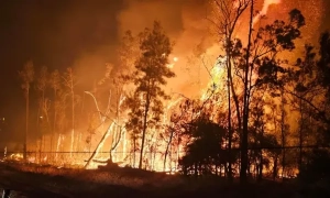 Трамп оголосив впровадження санкцій проти Туреччини через військову операцію в Сирії