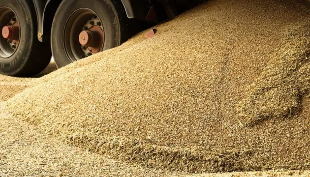 Росія вивезла з окупованих територій України понад 2 млн тонн зерна на $400 млн — СЗР