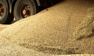 Війська рф просунулися поблизу Ступочків і Предтечиного на Донеччині, — DeepState