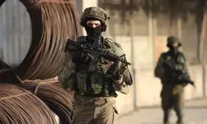 Во Франции борются с первым крупным пожаром в этом году