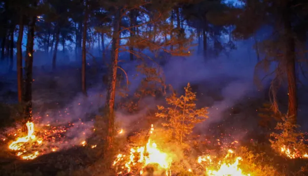 Most of the large-scale wildfires in Turkey have been contained