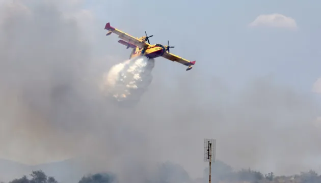 У Греції спалахнула лісова пожежа біля житлових районів