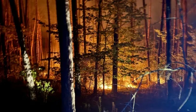 На Харківщині локалізували 8 лісових пожеж