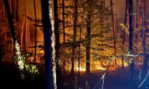Відео: заступник командира РДК Каплунов звинуватив СБУ у дискредитації ГУР та Буданова