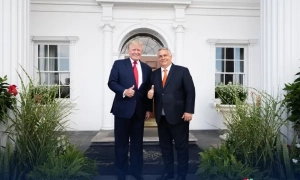 В рф арештували активи Volkswagen