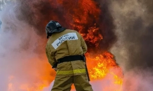 Трамп перепостив статтю про можливе фінансування виборчої кампанії Байдена через Україну