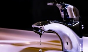 ЄС готовий до арбітражу проти України через ліс-кругляк