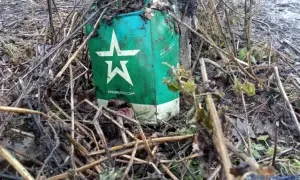 Зеленський: кремлю не вдалося отримати жодної перемоги до 9 травня