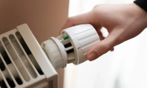 Єврокомісія не стала продовжувати дію ембарго на експорт українського зерна