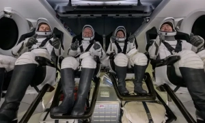 Вчені розкрили секрет яскравості оперення тропічних птахів