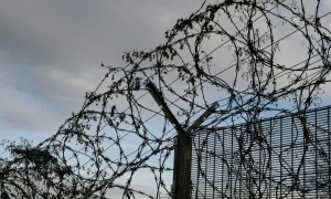 Німецькі ультраправі на виборах до Бундестагу просуватимуть вихід з Євросоюзу