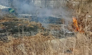 Федоров анонсував збільшення ударів по російським кораблям 